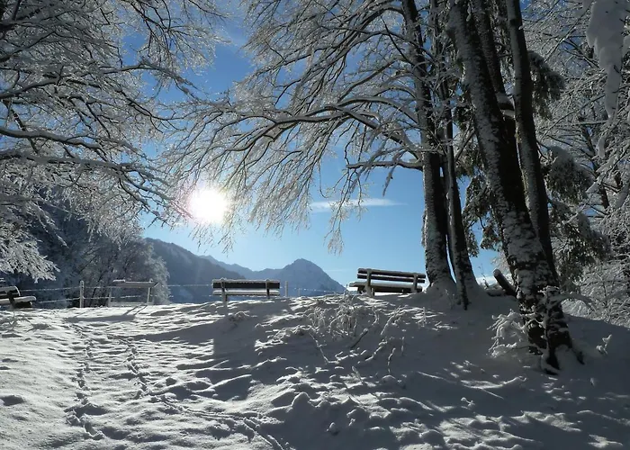 Gaestehaus Koch Fischen im Allgaeu